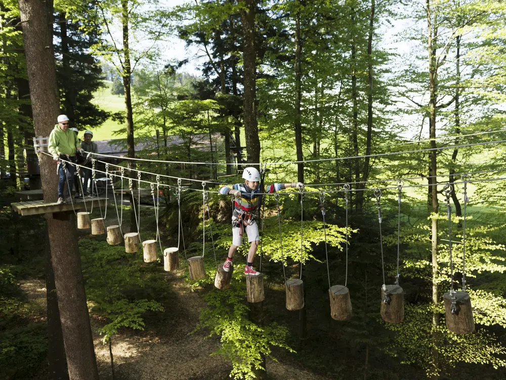Seilpark Atzmännig bietet Spaß und Nervenkitzel in luftiger Höhe.