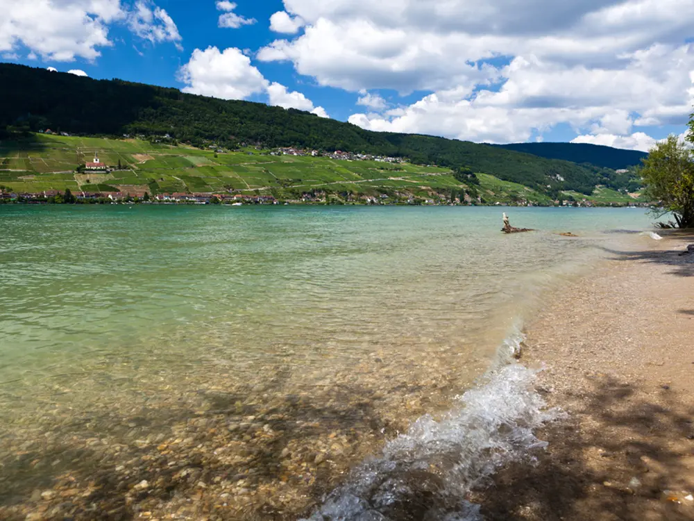 Seichtes Ufer am Bielersee