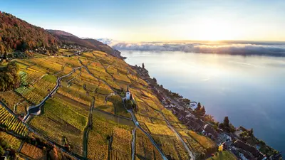 Morgenstimmung über dem Rebberg von Ligerz mit Blick Richtung Biel