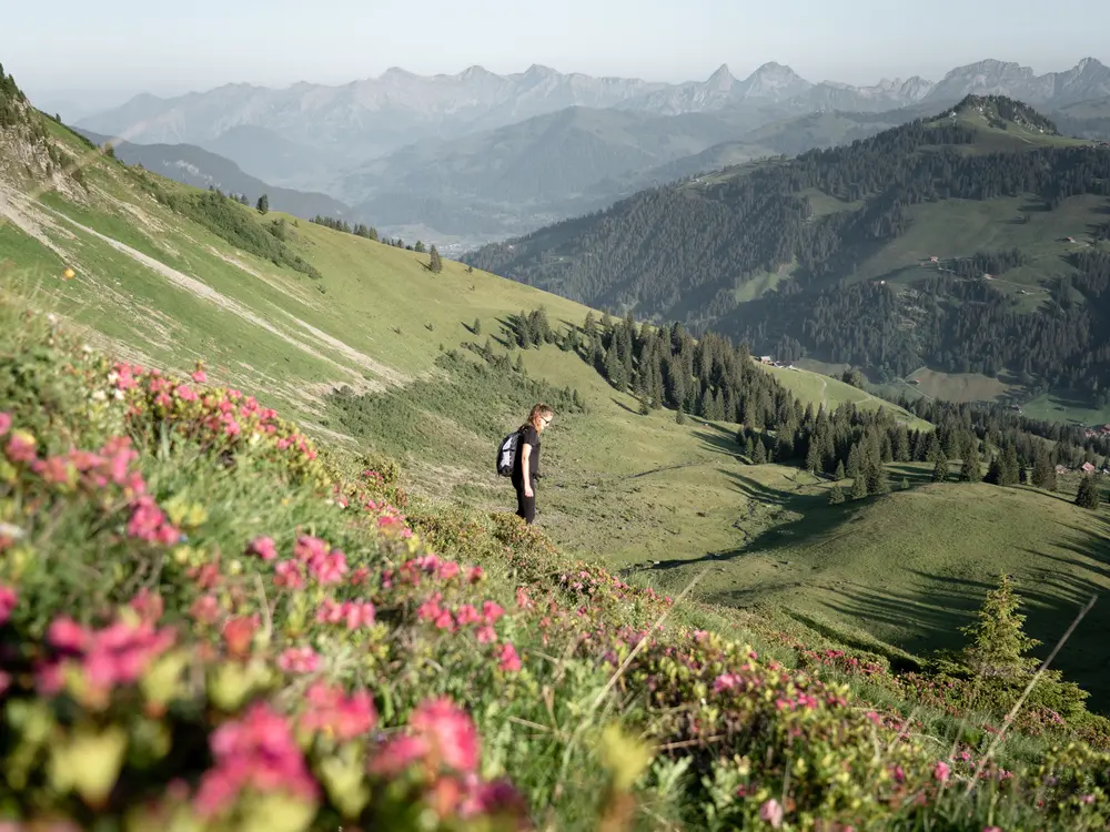 Wanderung am Giferspitz