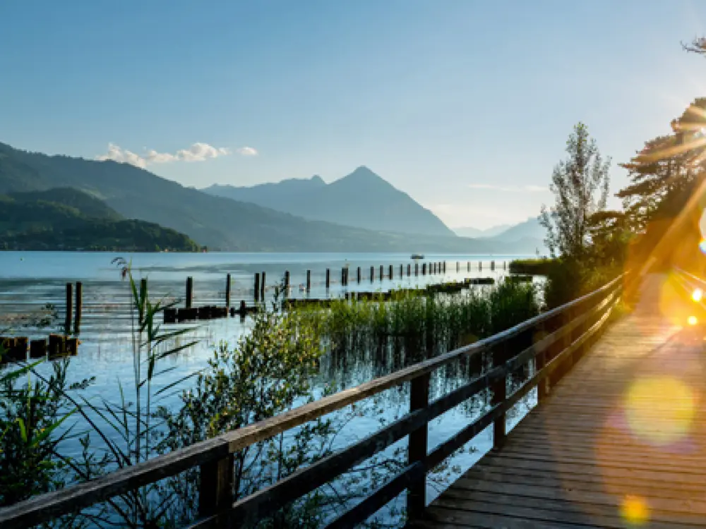 Panorama vom Thunersee