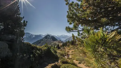 Wanderer im Aletschgebiet
