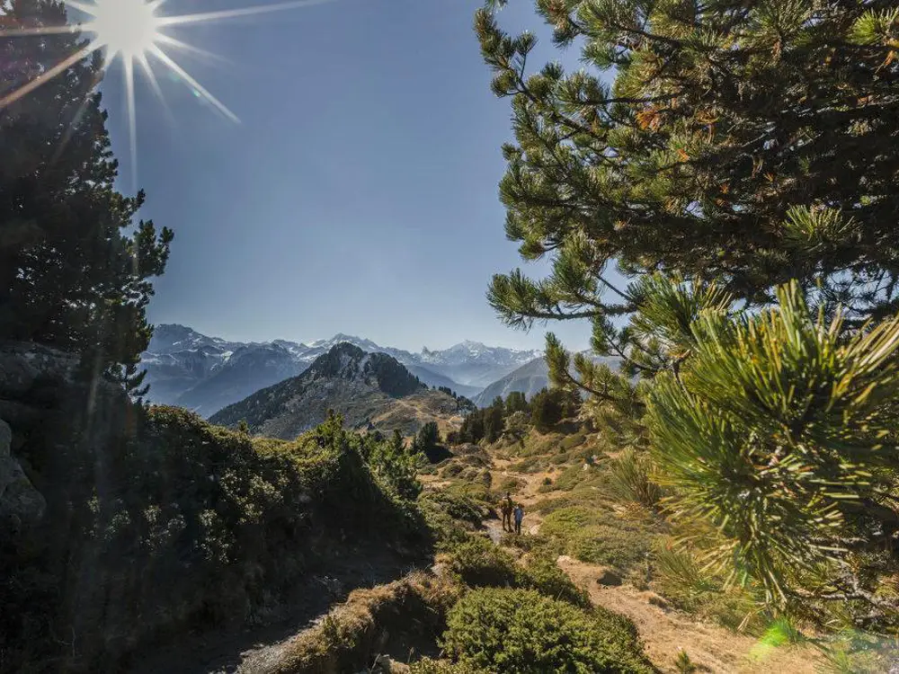 Wanderer im Aletschgebiet