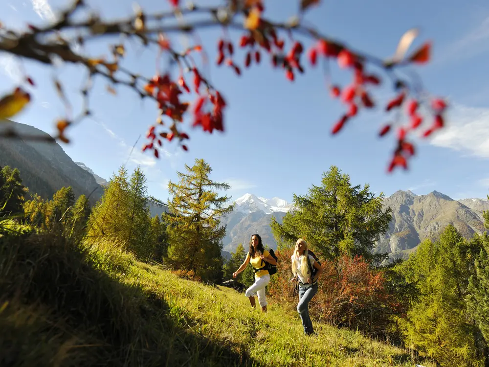 Zwei Frauen wandern durch die herbstliche Landschaft bei Grächen im Oberwallis.