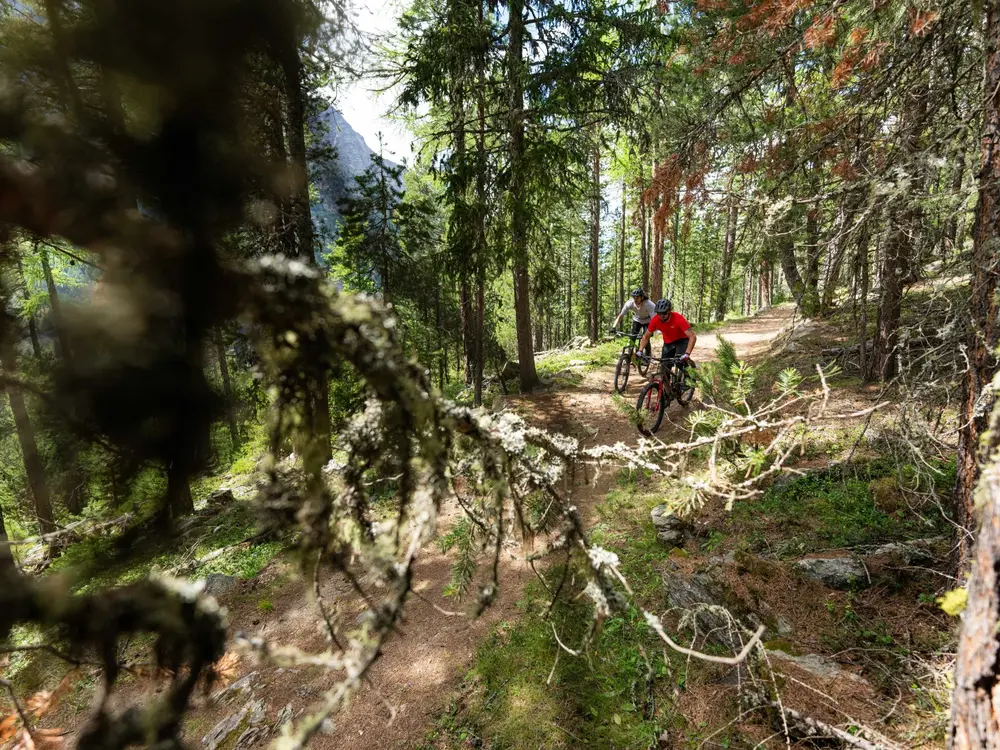 Mountainbike Saas-Baalen