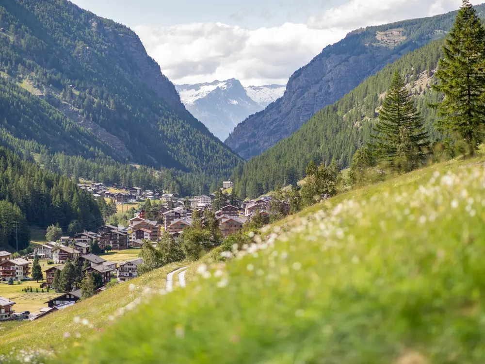 Blick auf Saas-Grund im Sommer