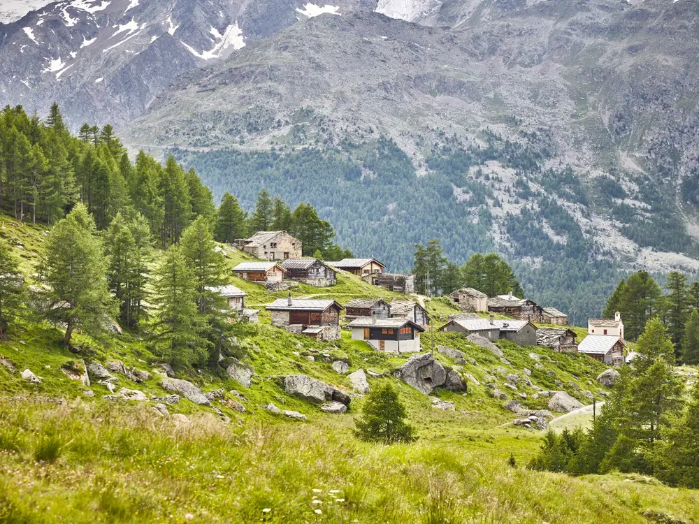 Die Triftalp ist im Sommer ein beliebtes Ausflugziel und liegt an der Alpenblumen-Promenade