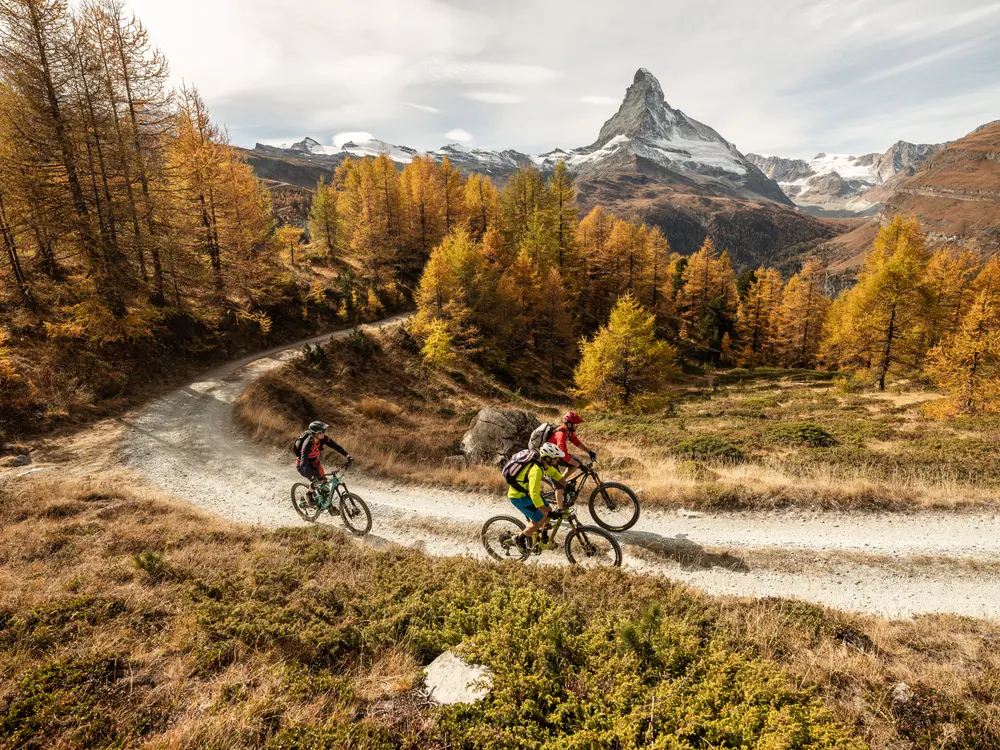 Mountainbiker vor herbstlicher Matterhorn-Kulisse