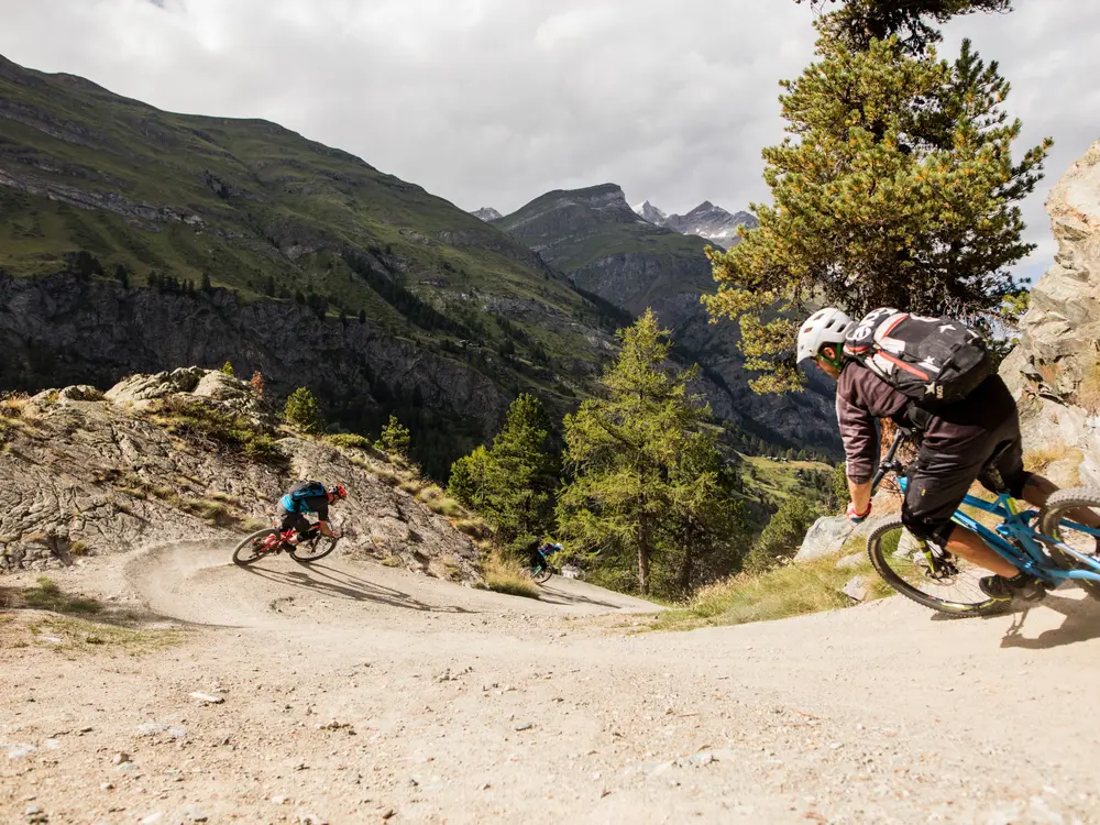 Biken auf dem Moos-Trail