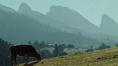 Herbstliches Toggenburg