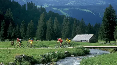 Bike-Dorado Toggenburg