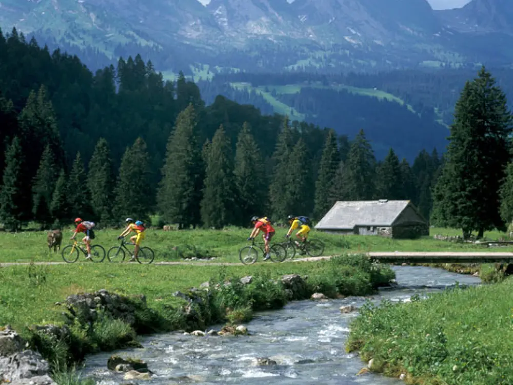 Bike-Dorado Toggenburg