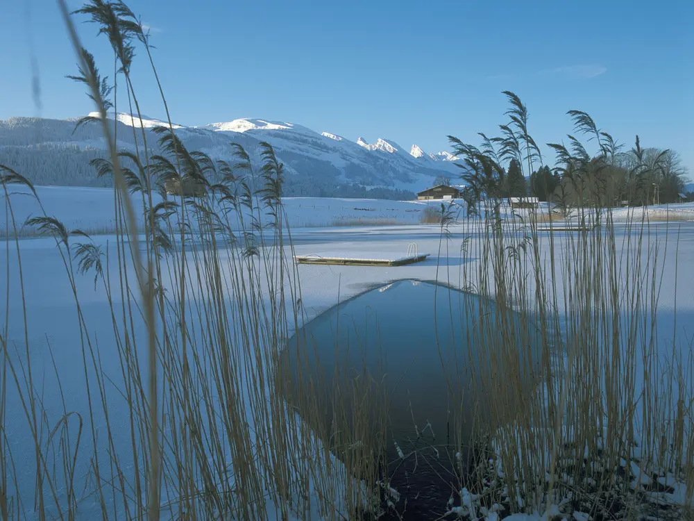 Traumhaftes Toggenburg