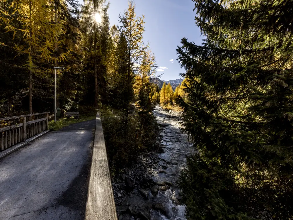 Gebirgsbach im Engadin