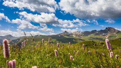 Frühling am Flumserberg