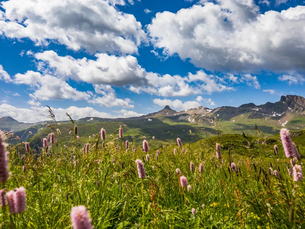 Frühling am Flumserberg