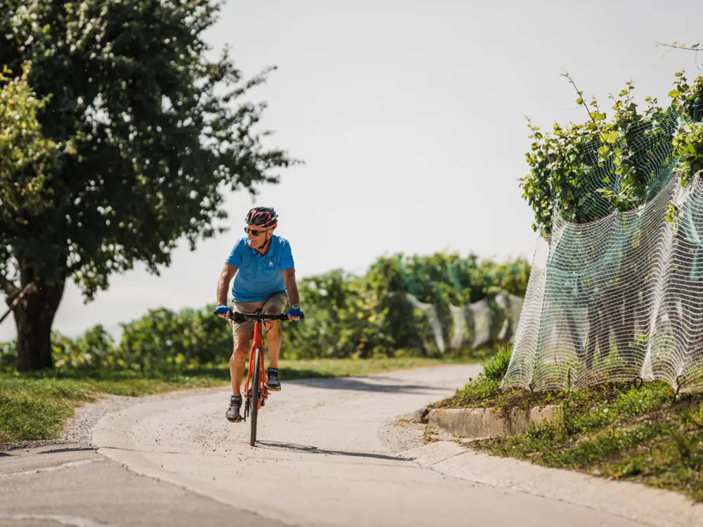 In den Weinbergen am Mont Vully