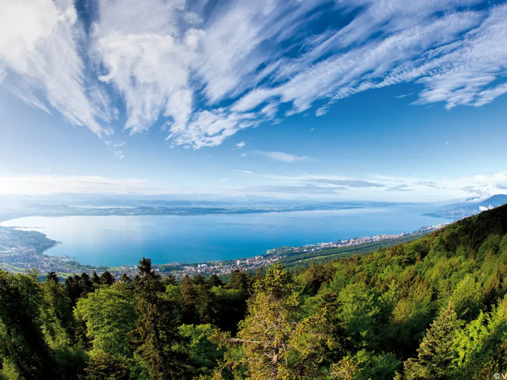Blick auf den Neuenburgersee