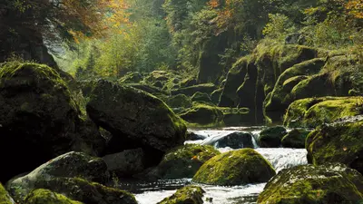 Flussbett des Doubs bei Le Chatelot im Neuenburger Jura