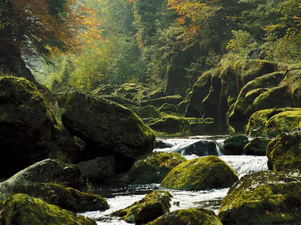 Flussbett des Doubs bei Le Chatelot im Neuenburger Jura