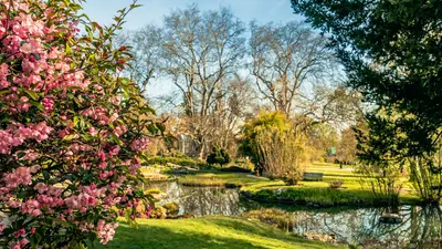 Botanischer Garten in Genf