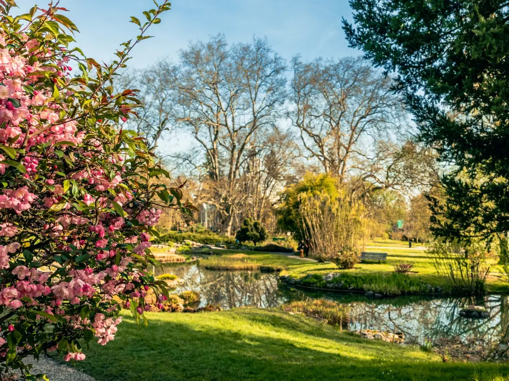 Botanischer Garten in Genf
