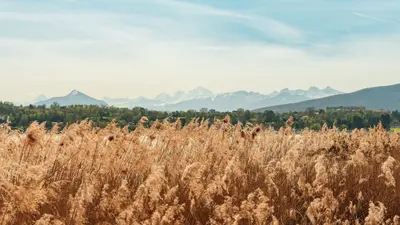 Blick vom Mont-Blanc bis zur Perle du Lac