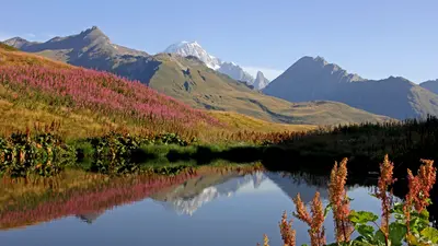 Aussicht auf den Mont Blanc