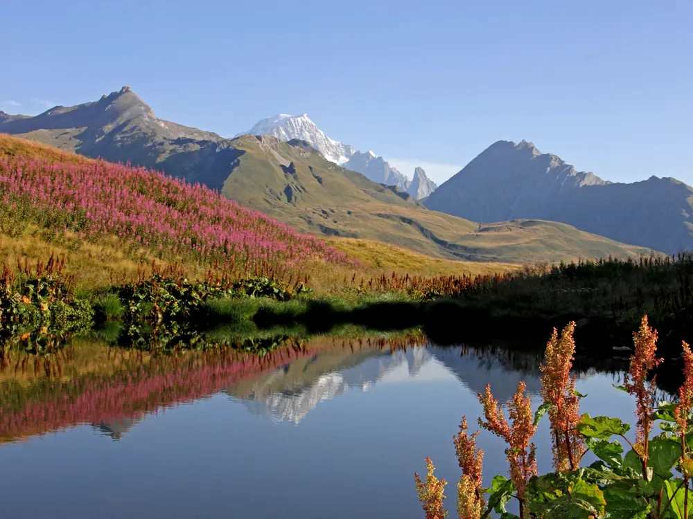 Aussicht auf den Mont Blanc im Genfer Umland