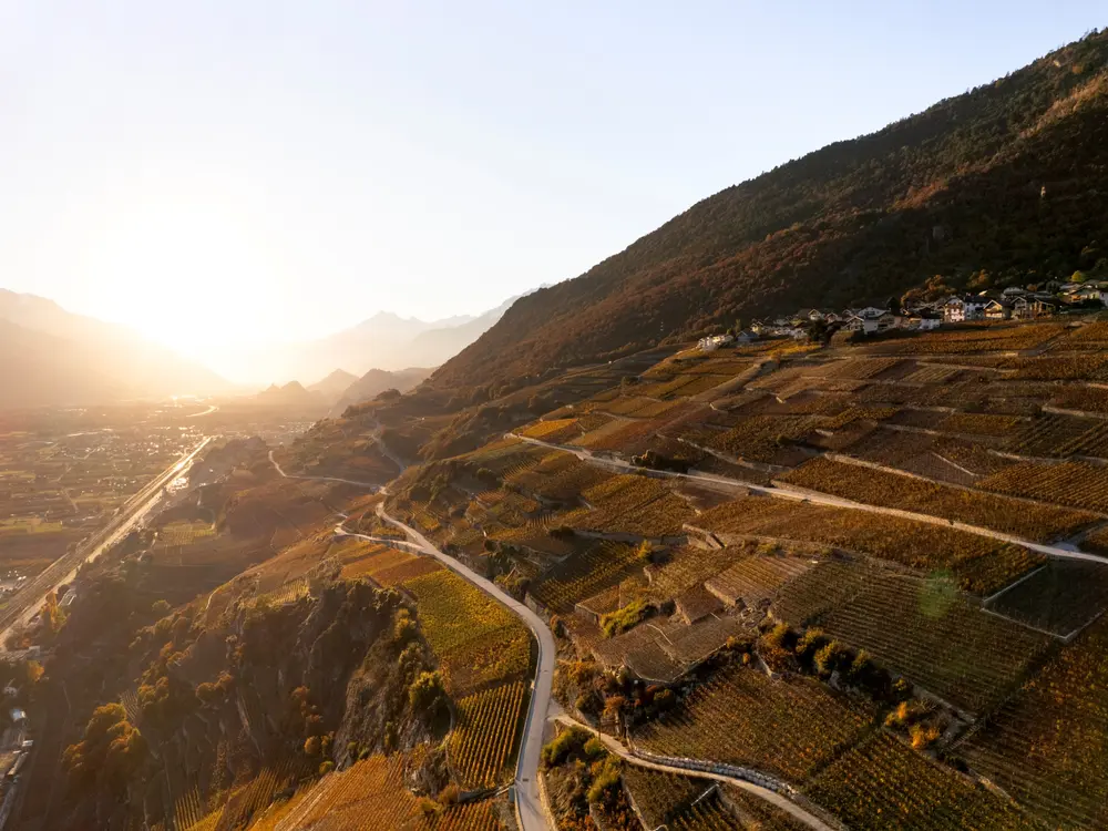 Luftbild Vignoble in Crans-Montana