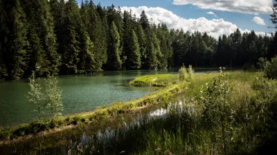 Landschaft in Crans-Montana