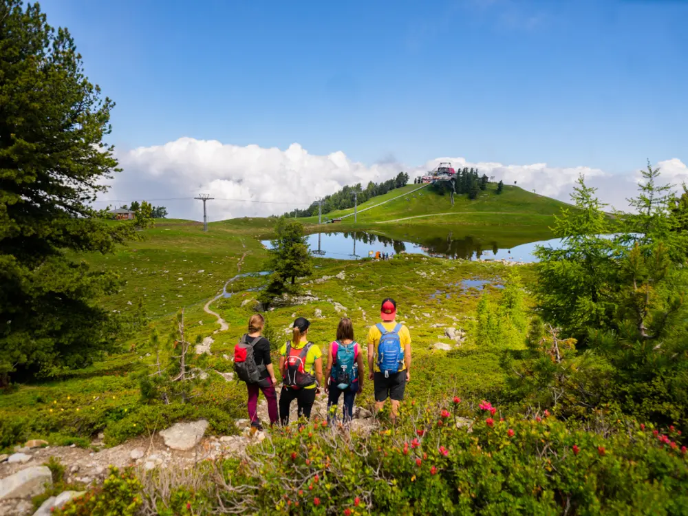 Wandern in der Region Nendaz