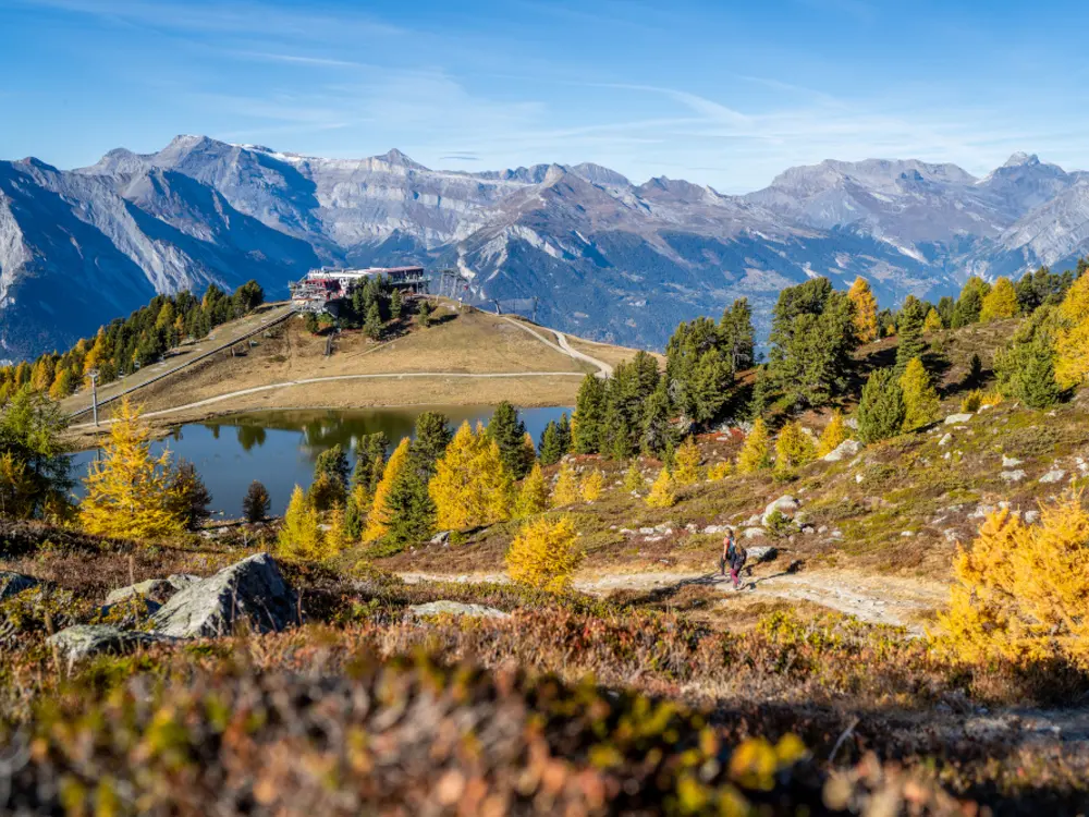 Herbst in den Bergen von Nendaz