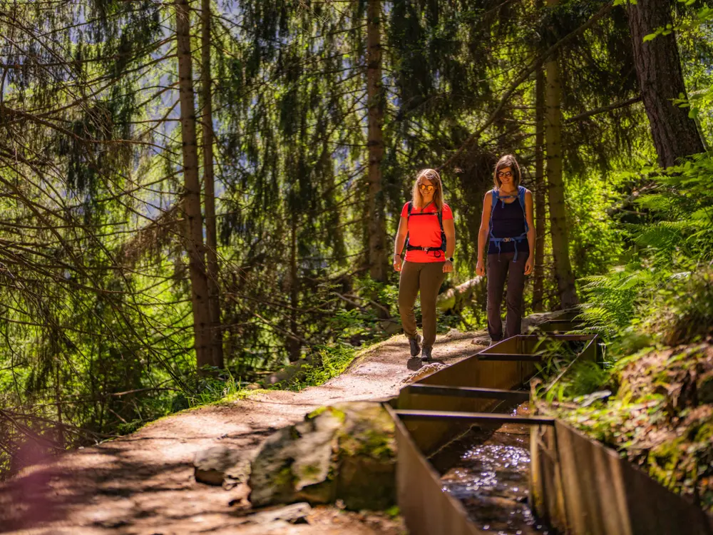 Entlang der Suonen von Nendaz