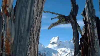 Sicht auf `le Six des Armailles`