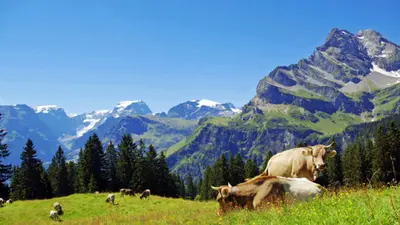 Braunwald im Sommer