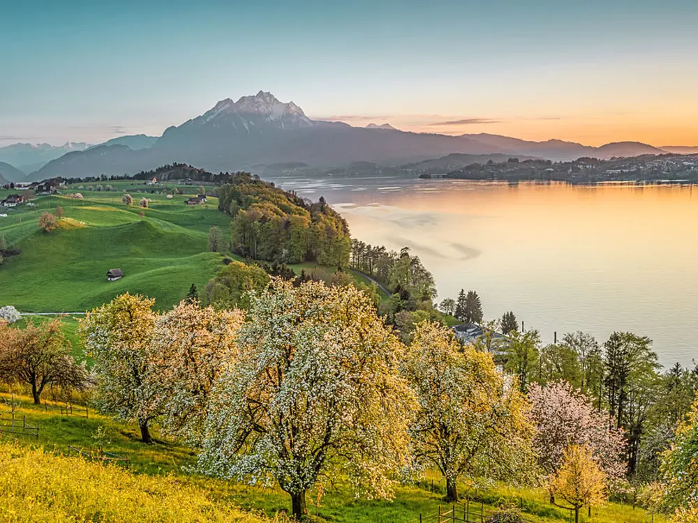Blick auf Weggis am Vierwaldstättersee mit dem Pilatus im Hintergrund