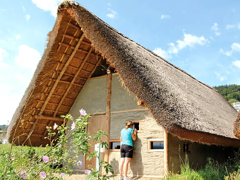 Pfahlbausiedlung Wauwilermoos /