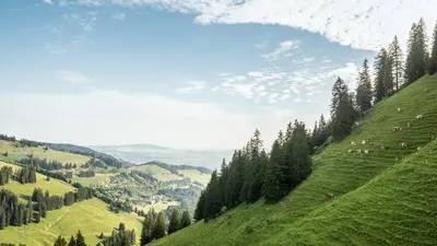 Alp Tsermont am Fuße des Moléson bei Greyerz