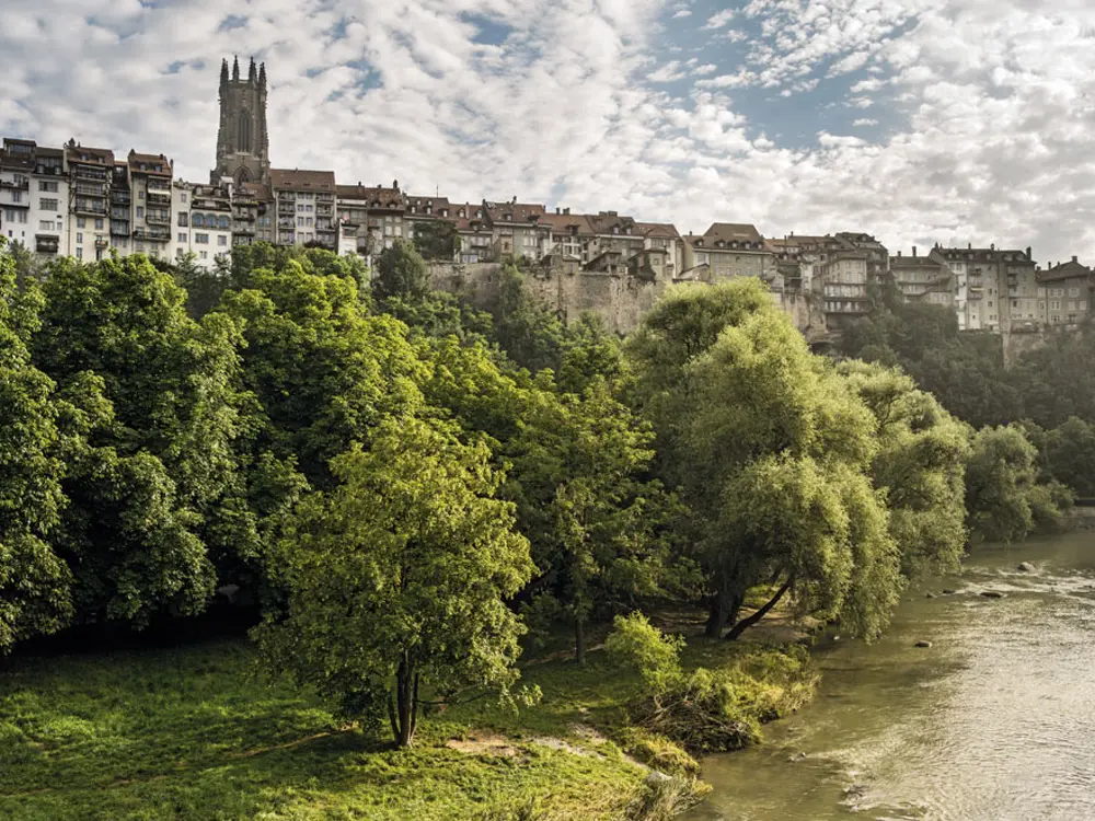 Blick von der Saane auf die Altstadt