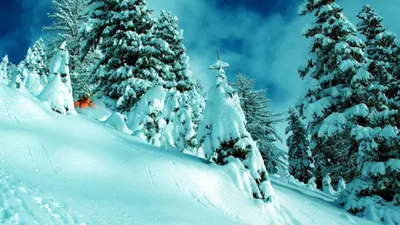 Freeride im Pulverschnee