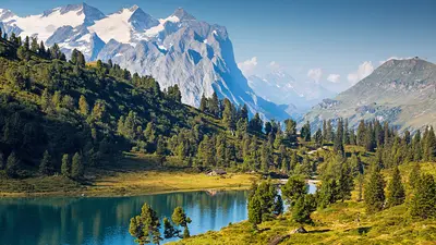Wandergebiet auf der Engstlenalp