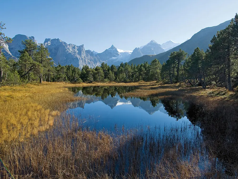 Hochmoor im Haslital