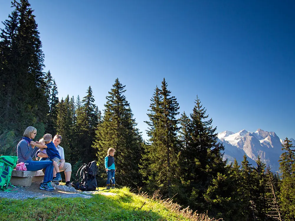 Wandern auf dem Muggestutzweg