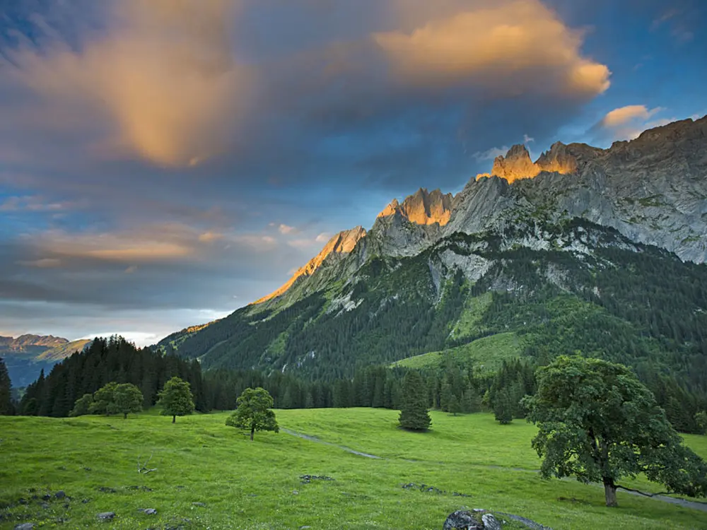 Blick auf den Rosenlaui