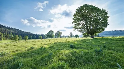 Naturpark Chasseral im Berner Jura