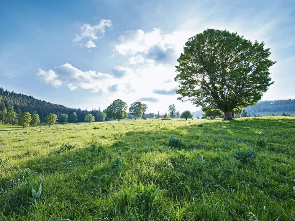 Naturpark Chasseral im Berner Jura