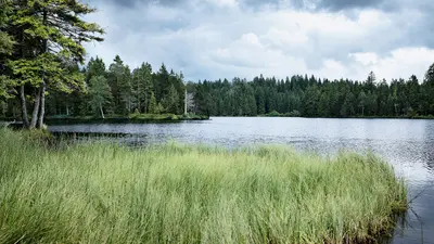 Naturpark Doubs am Etang de la Gruère