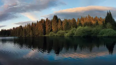 Naturschutzgebiet Etang de la Gruère