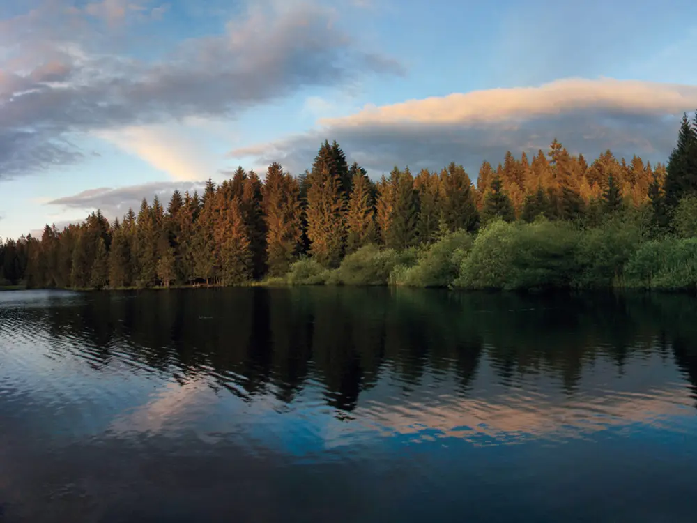 Naturschutzgebiet Etang de la Gruère